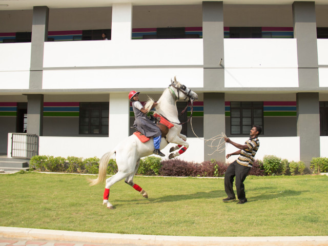 horseriding